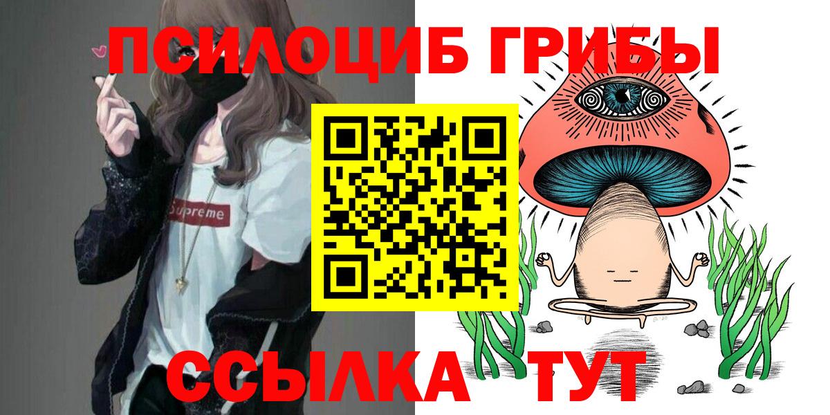 Сызрань  Галлюциногенные грибы ЛСД  Псилоцибиновые грибы мицелий  закладка  Вход с VPN 
